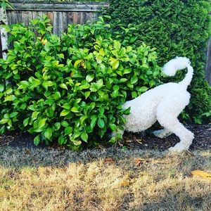 Meet your Posher, Liz